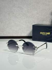 Picture of Roberto Cavalli Sunglasses _SKUfw76146966fw